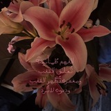 Telegram profile photo for طُمَأْنِينَة