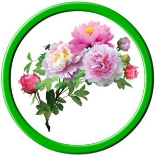 Telegram profile photo for Цветочная точка (садовые цветы)