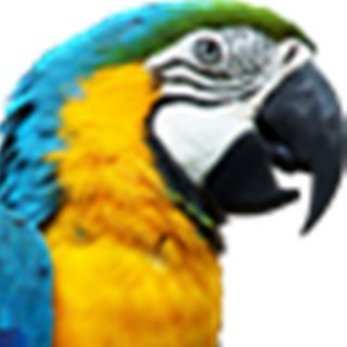 Telegram profile photo for NaijaParrot - Nigerian News