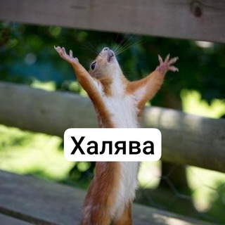 Telegram profile photo for Халява пiд Каштаном 🕹️