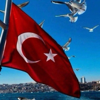 Telegram profile photo for Turk tilini o’rganamz