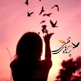 Telegram profile photo for پرنده هاےِ قفسی 🕊