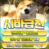 Telegram profile photo for 시바급전 공지방