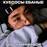 Telegram profile photo for Han Harbor