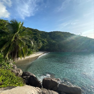 Telegram profile photo for Travelhedonist