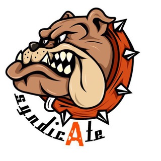 Telegram profile photo for Syndicate_A