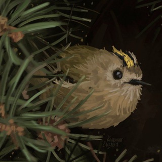 Telegram profile photo for ELKA