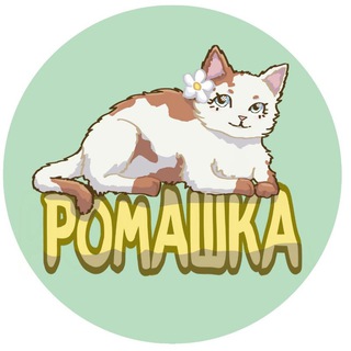Telegram profile photo for Сходки - Ромашка