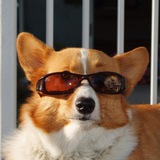 Telegram profile photo for Открытый доступ