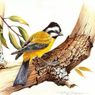 Telegram group profile photo for نوای چکاوک ( شعر و نثر و متون ادبي و نثر آهنگين )