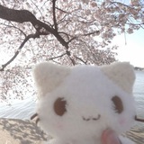 Telegram profile photo for тучка ссылки