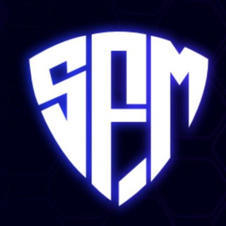 Telegram group profile photo for Safety Meta International
