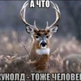 Telegram profile photo for Никита нейшен