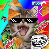Telegram profile photo for сольница