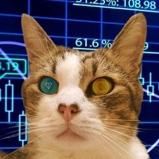 Telegram profile photo for Meow on the Blockchain
