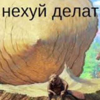 Telegram profile photo for Жажжжет