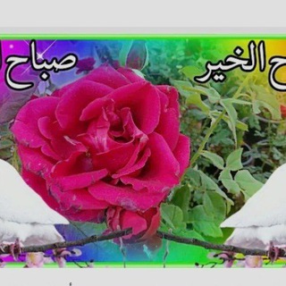 Telegram profile photo for اقوى شيلات طرب