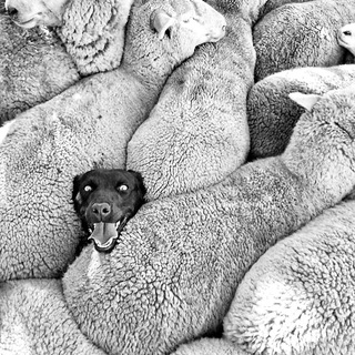 Telegram profile photo for ⎈ Мир наоборот ®.