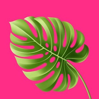 Telegram profile photo for Релокация в декрете | Турция