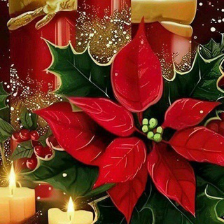 Telegram profile photo for ГУЗАЛЛИК ГУЛШАНИ..🌺🌺🌺 Каналига хуш келибсиз.