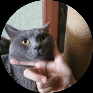 Telegram profile photo for Лорда волка логово ;3