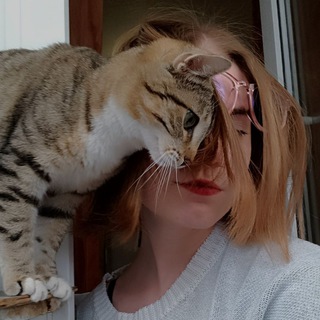 Telegram profile photo for мышкина норка