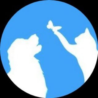 Telegram profile photo for ВетеринарнаяКлиника ШейлаВет