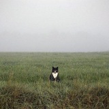 Telegram profile photo for Орден