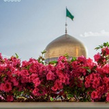 Telegram profile photo for قاف