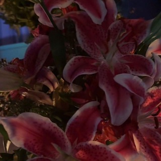 Telegram profile photo for أجـرٌ لي ولـك