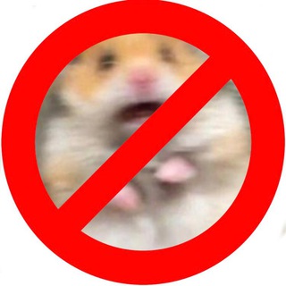 Telegram profile photo for Хомяков.NET