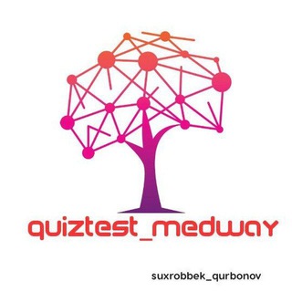 Telegram profile photo for Quiztest || Vizitka kanal