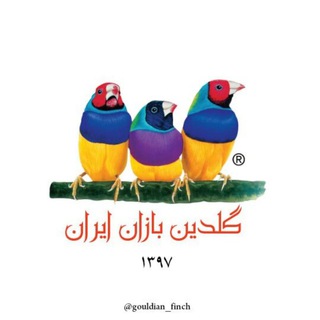 Telegram profile photo for Gouldian finch Medications