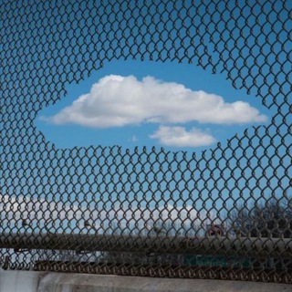 Telegram profile photo for دانستنی