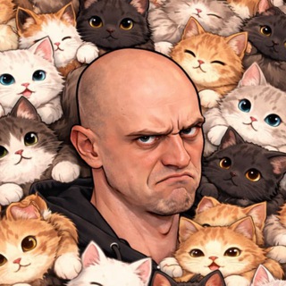 Telegram profile photo for Avanfantas
