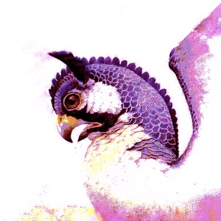 Telegram profile photo for ایرانشهری