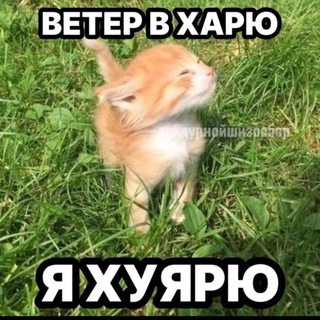 Telegram profile photo for пока что не придумали
