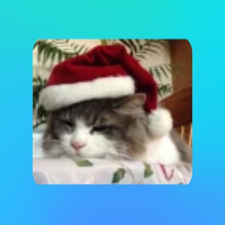 Telegram profile photo for Пруфы выдачи призов WENTER