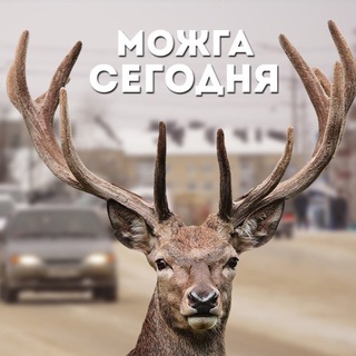 Telegram group profile photo for Можга сегодня Chat
