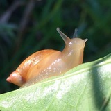 Telegram profile photo for ARD | Another Rainy Day 🌧