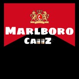 Telegram profile photo for 🚬MarlborocallZ🚬