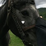 Telegram profile photo for 💓