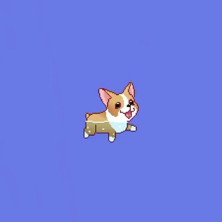 Telegram profile photo for собачки