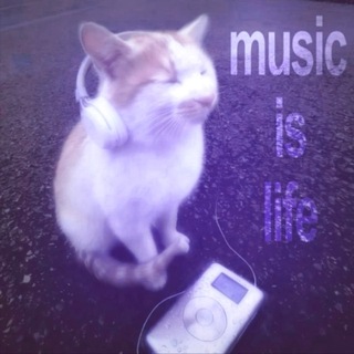 Telegram profile photo for —
