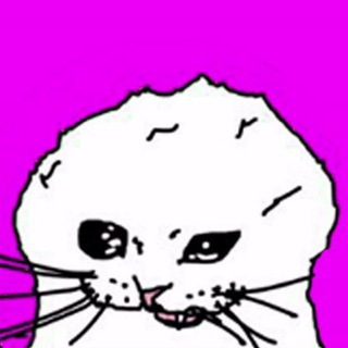 Telegram profile photo for $POOTI | Portal