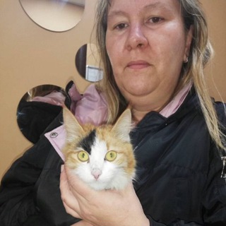 Telegram profile photo for МОХНАТЫЕ ЛАПКИ ПРИЮТ🐱🐱