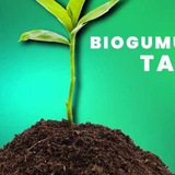 Telegram profile photo for ÁĽFÃ BIOGUMUS
