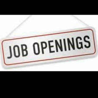 Telegram profile photo for Freshers/Experience Jobs