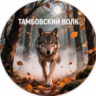 Telegram profile photo for Тамбовский волк
