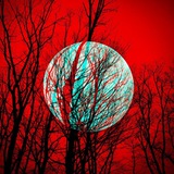 Telegram profile photo for Paradisaea